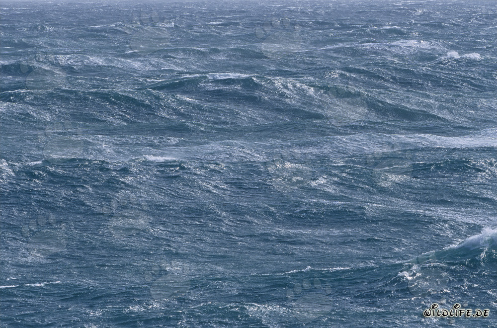 Storm on the Sea at Cape Agulhas