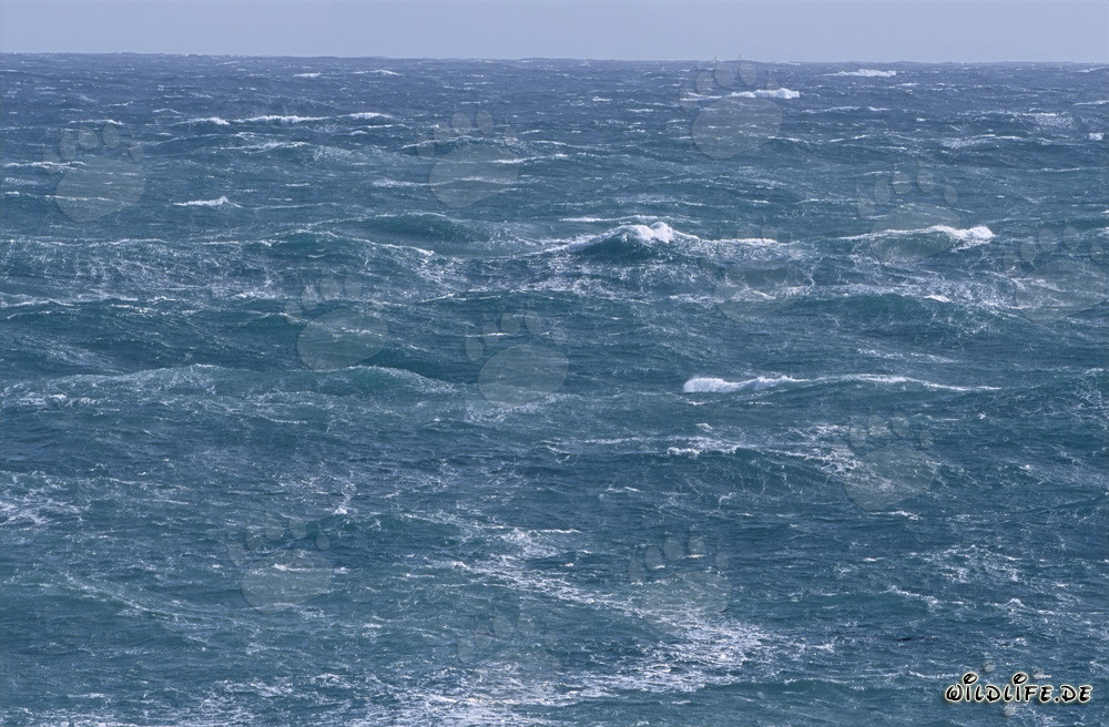 Sturm am Kap Agulhas in Südafrika - Gefahren und Schönheit der südlichsten Spitze Afrikas