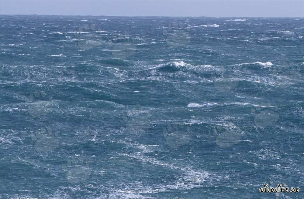 Tempesta al Capo Agulhas in Sudafrica - Pericoli e bellezza dell'estremità più a sud dell'Africa