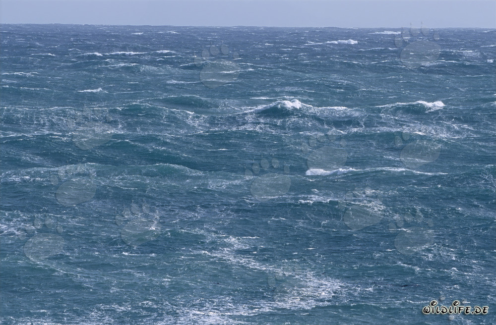 Tempête au Cap Agulhas en Afrique du Sud - Dangers et beauté de la pointe la plus au sud de l'Afrique