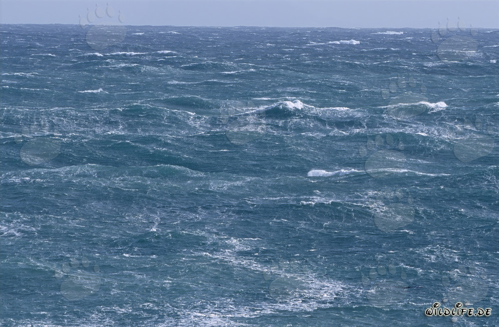 Tormenta en el Cabo de Agulhas en Sudáfrica - Peligros y belleza del extremo sur de África