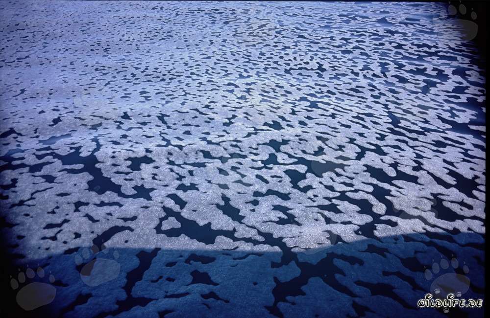 Interesting structures on the surface of the sea