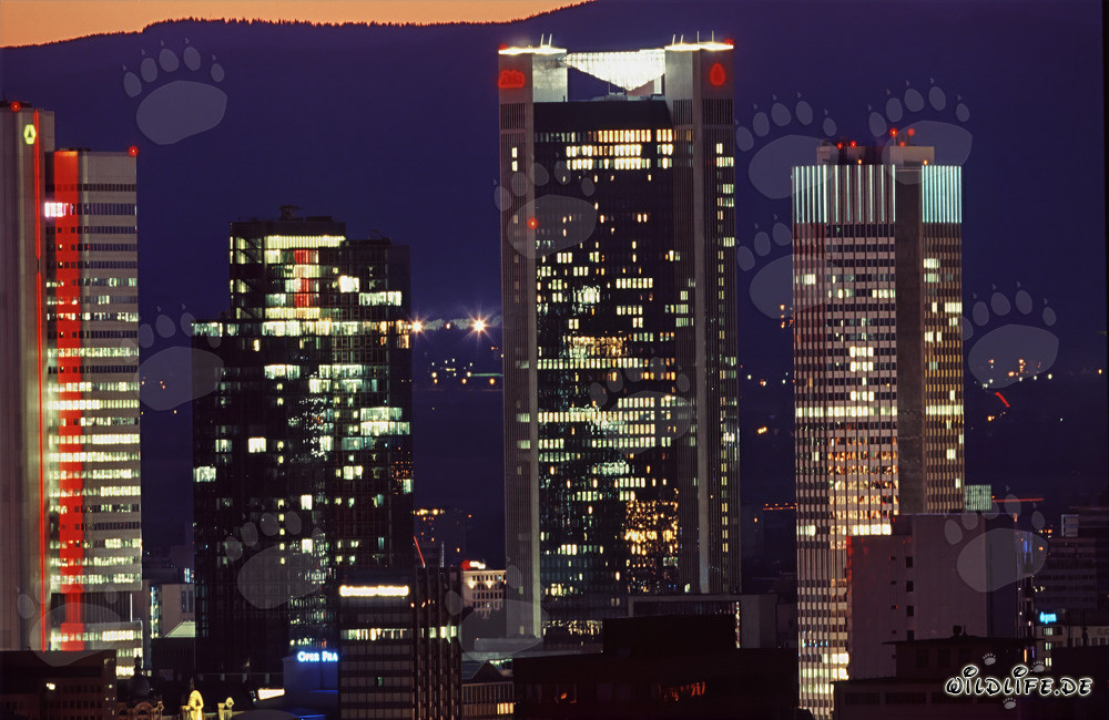 Gallileo Hochhaus mit beeindruckender Lichtinstallation in Frankfurt