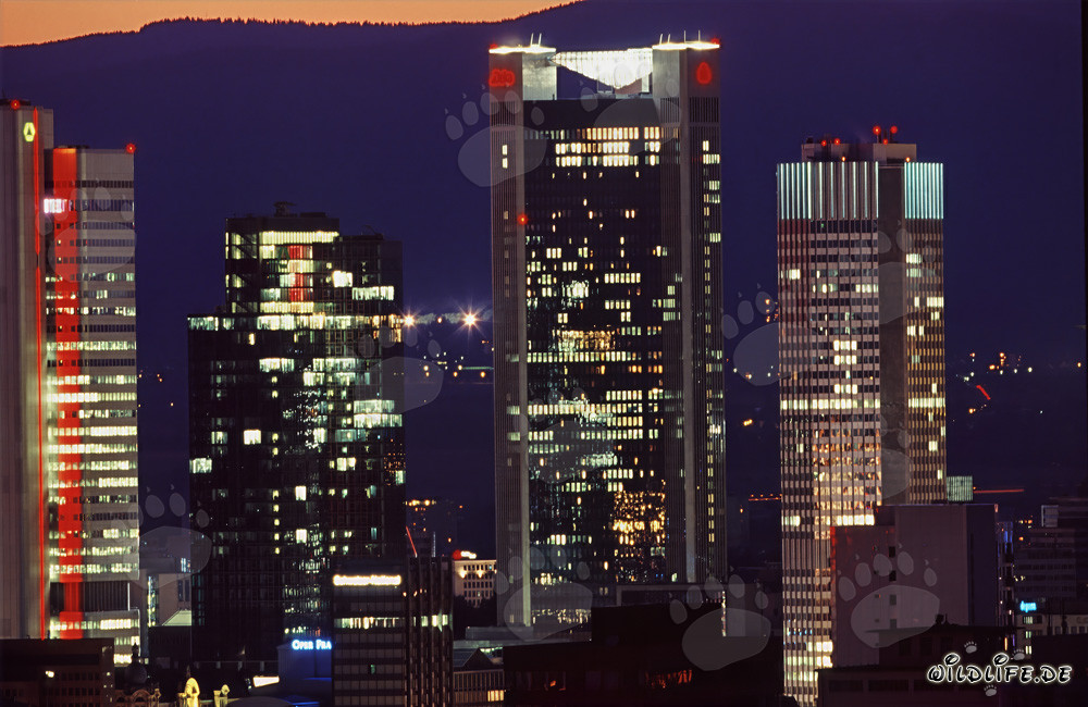 Gallileo Skyscraper with Stunning Light Installation in Frankfurt