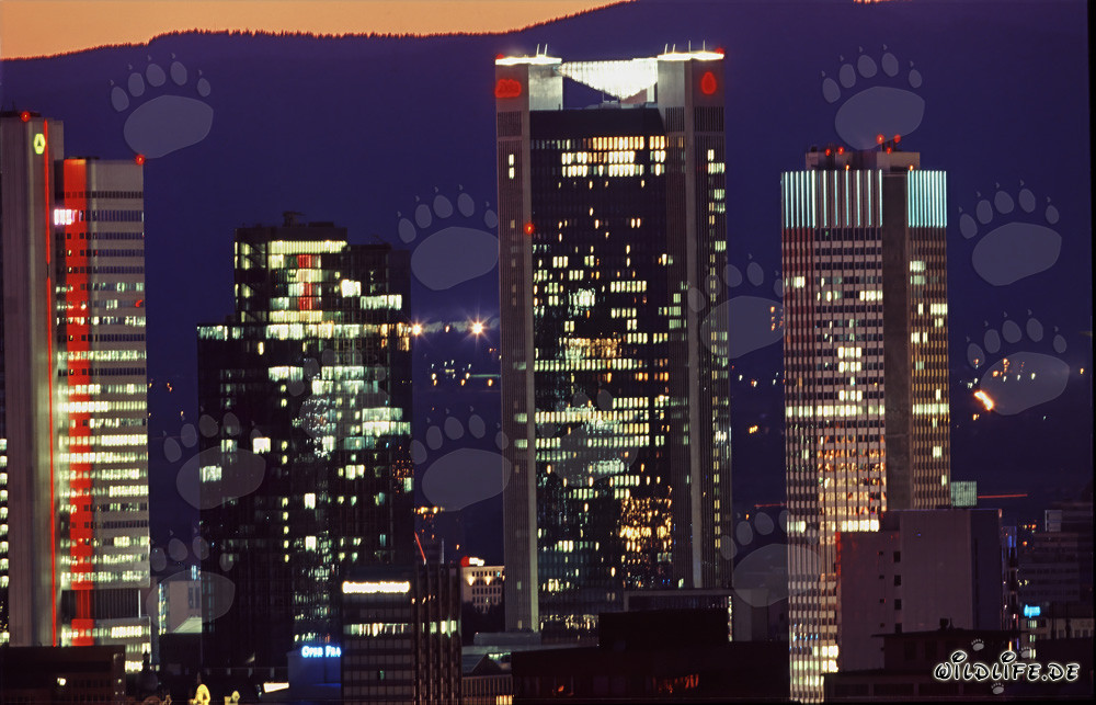 Fascinating Gallileo Skyscraper with Impressive Light Installation