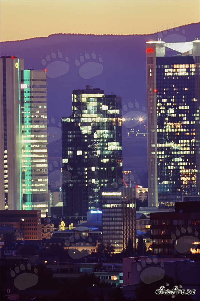 Gallileo Skyscraper with Stunning Light Installation in Frankfurt