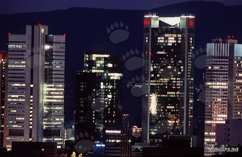 Impressionnante skyline de Francfort de nuit