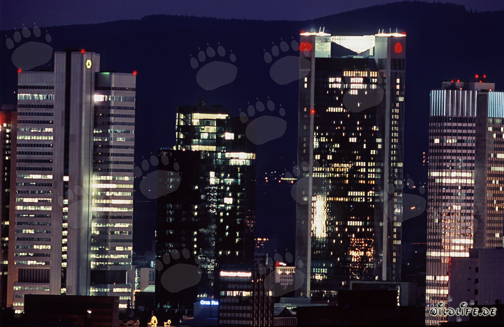 Faszinierende Skyline von Frankfurt bei Nacht