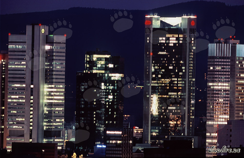 Fascinante skyline de Frankfurt de noche