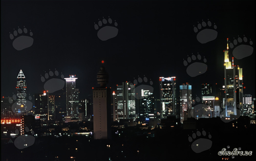 Skyline de Francfort de nuit - Impressionnante photo nocturne de la célèbre skyline de Francfort