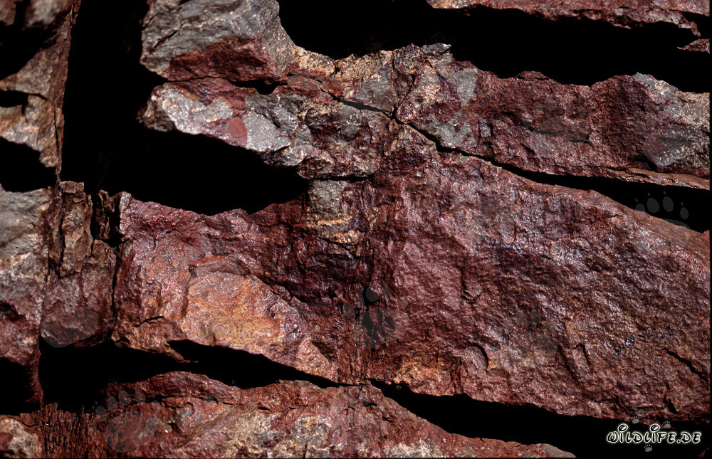 Vibrant rock formations inhabited by Cape Cobras in South Africa