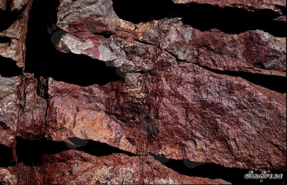 Paesaggio roccioso vivace con cobre del Capo in Sudafrica