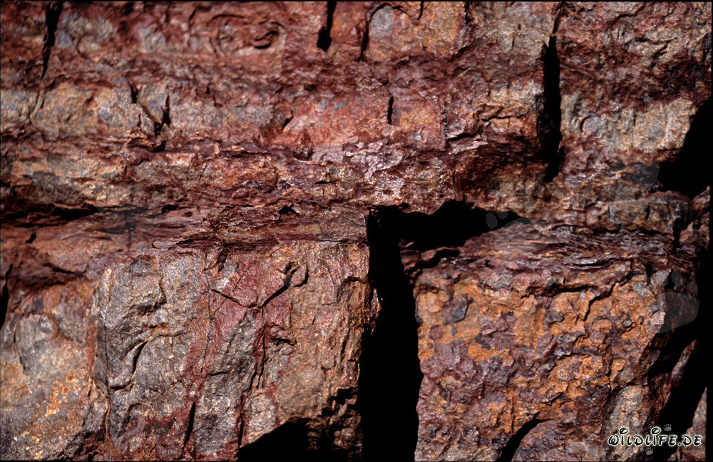 Bunte Felsen: Zuhause der Kapkobras