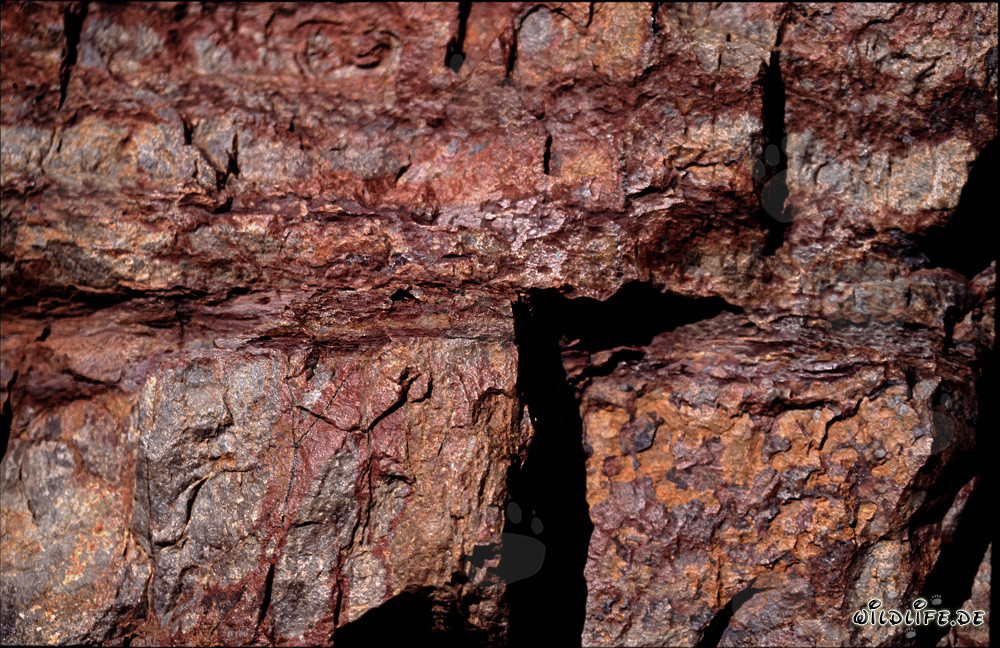 Colored Rocks: Home of Cape Cobras