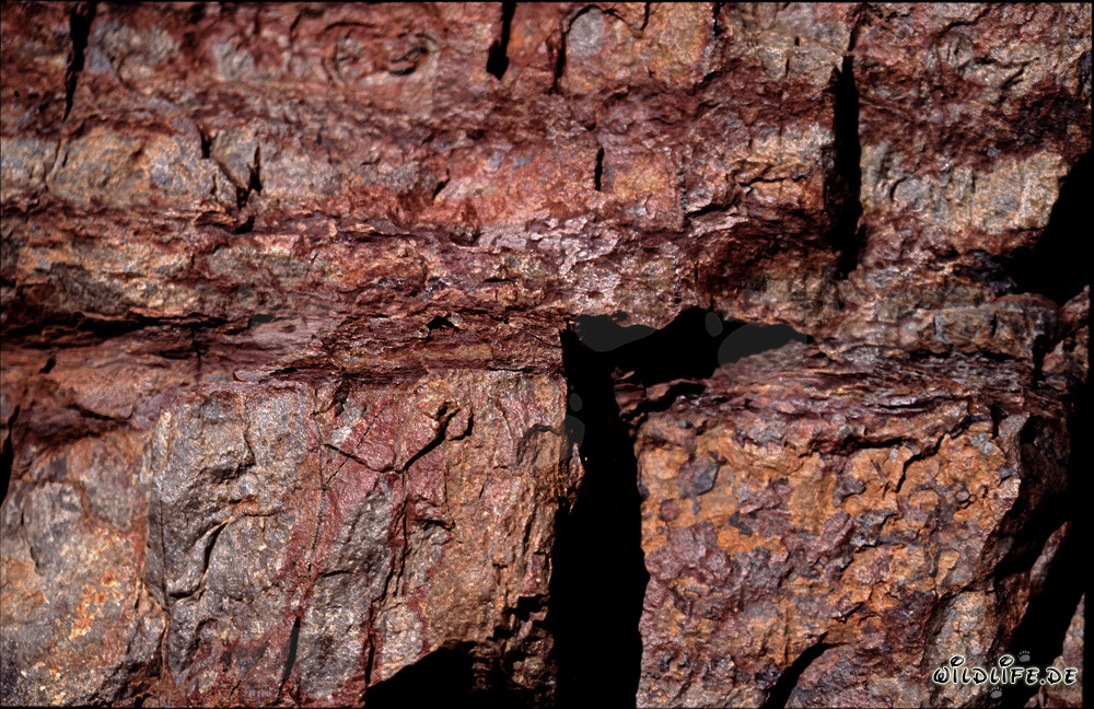 Rocce colorate: Casa dei cobra del Capo
