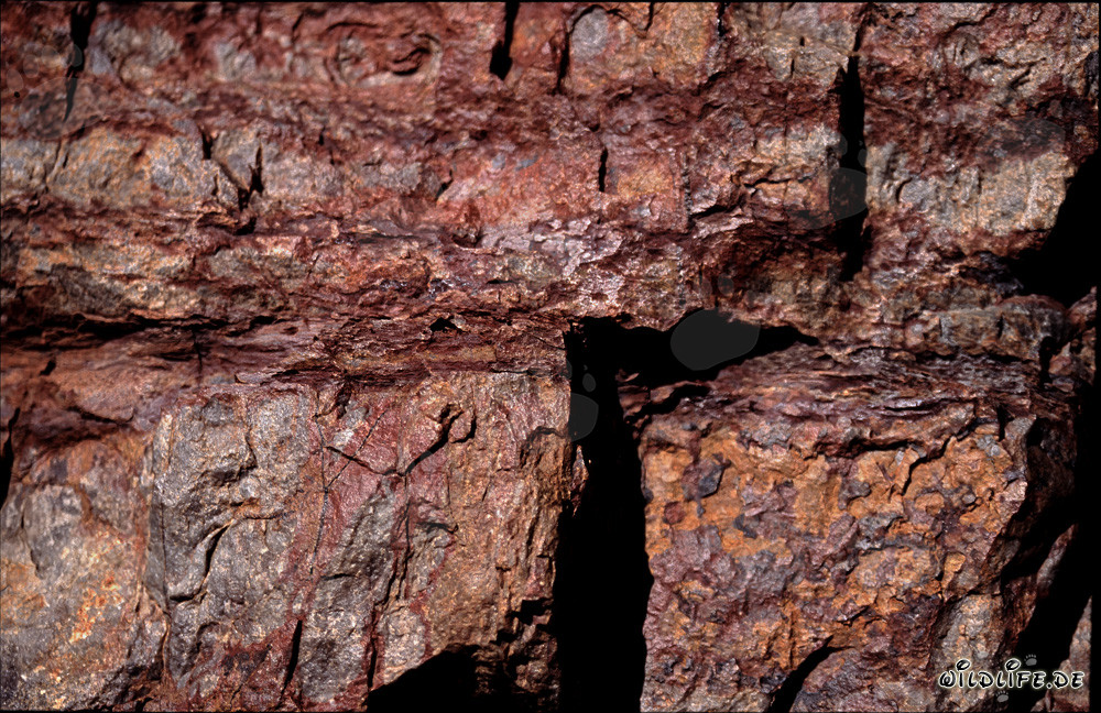 Rochers colorés : Maison des cobras du Cap
