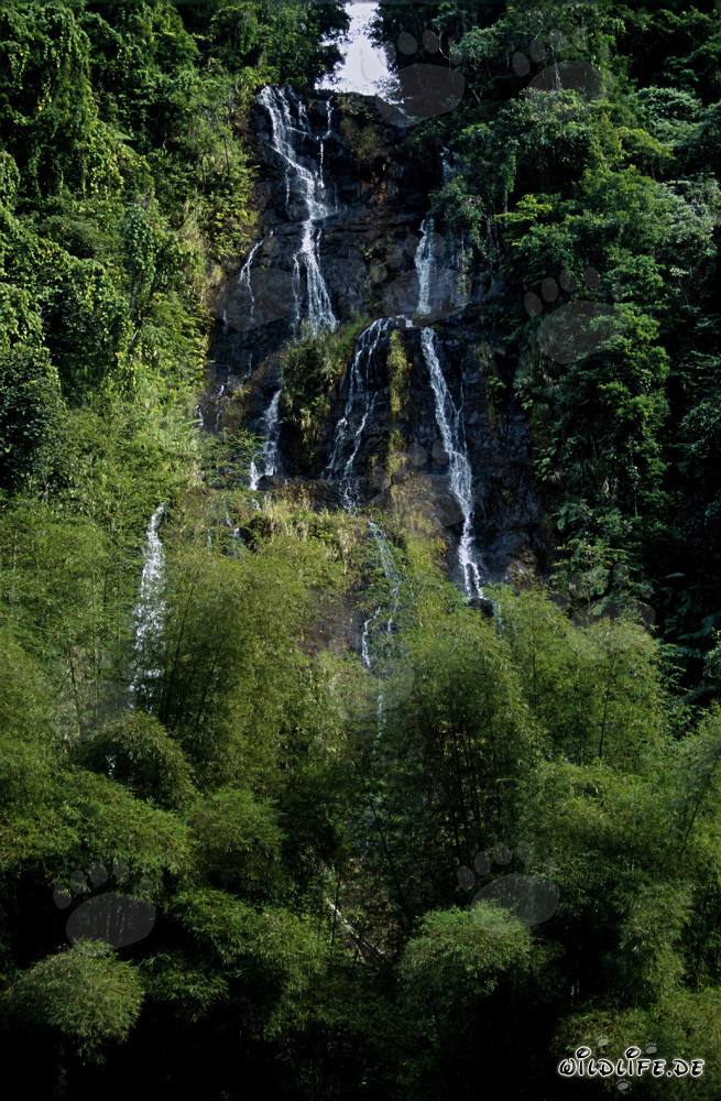 wasserfall