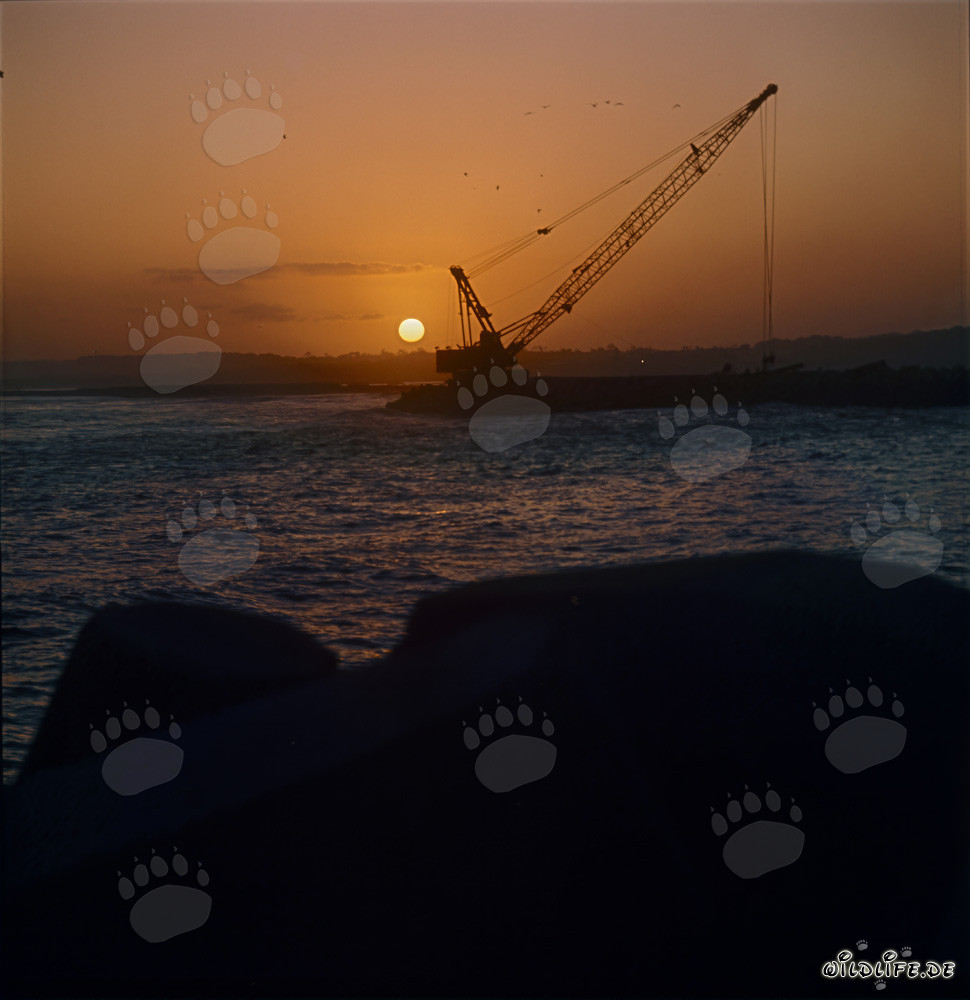 Faszinierender Sonnenuntergang am North Headland