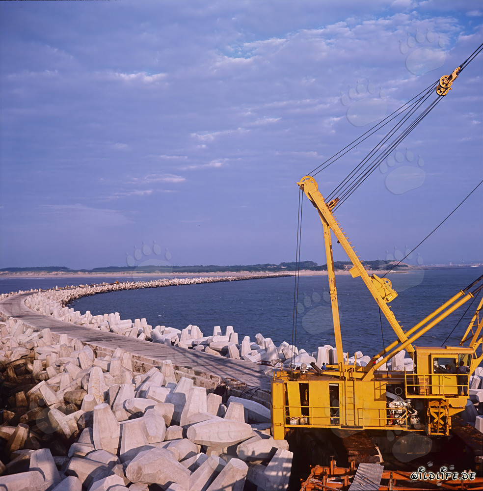 Placing Dolosse on North Headland in Richards Bay, South Africa