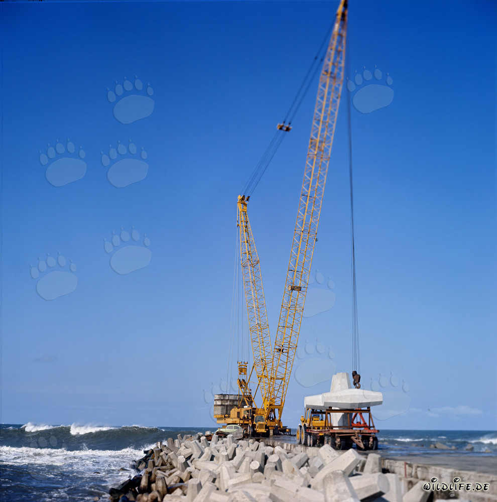 Colocación de Dolosses en el rompeolas sur de Richards Bay, Sudáfrica