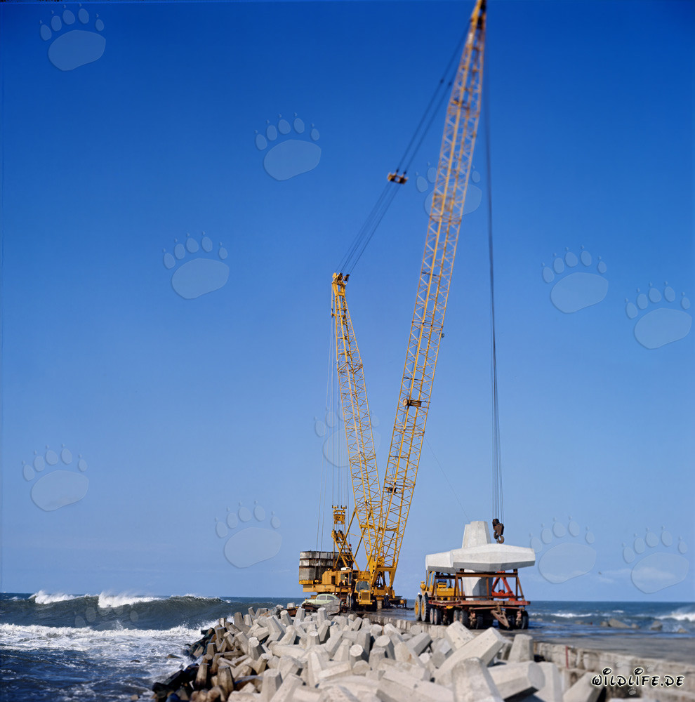 Pose de Dolosses sur la digue sud de Richards Bay, en Afrique du Sud