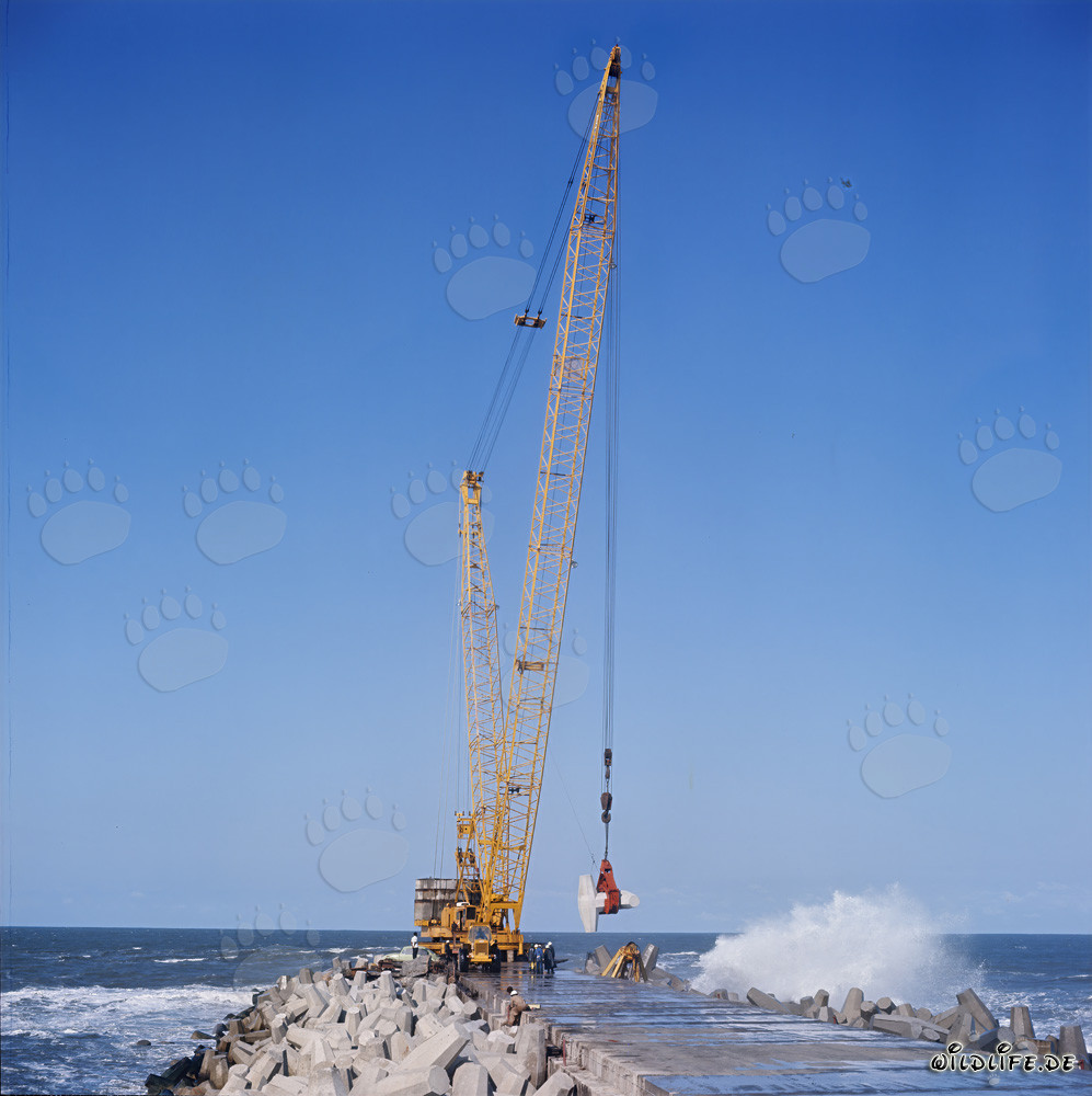 Posa dei dolos sul frangiflutti meridionale con Manitowoc 4100 R