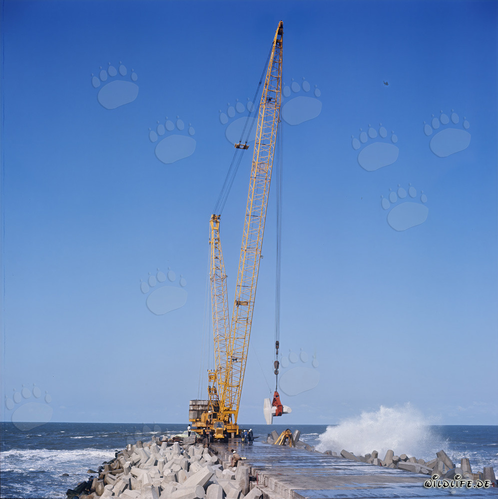 Colocación de dolos en el rompeolas sur con Manitowoc 4100 R