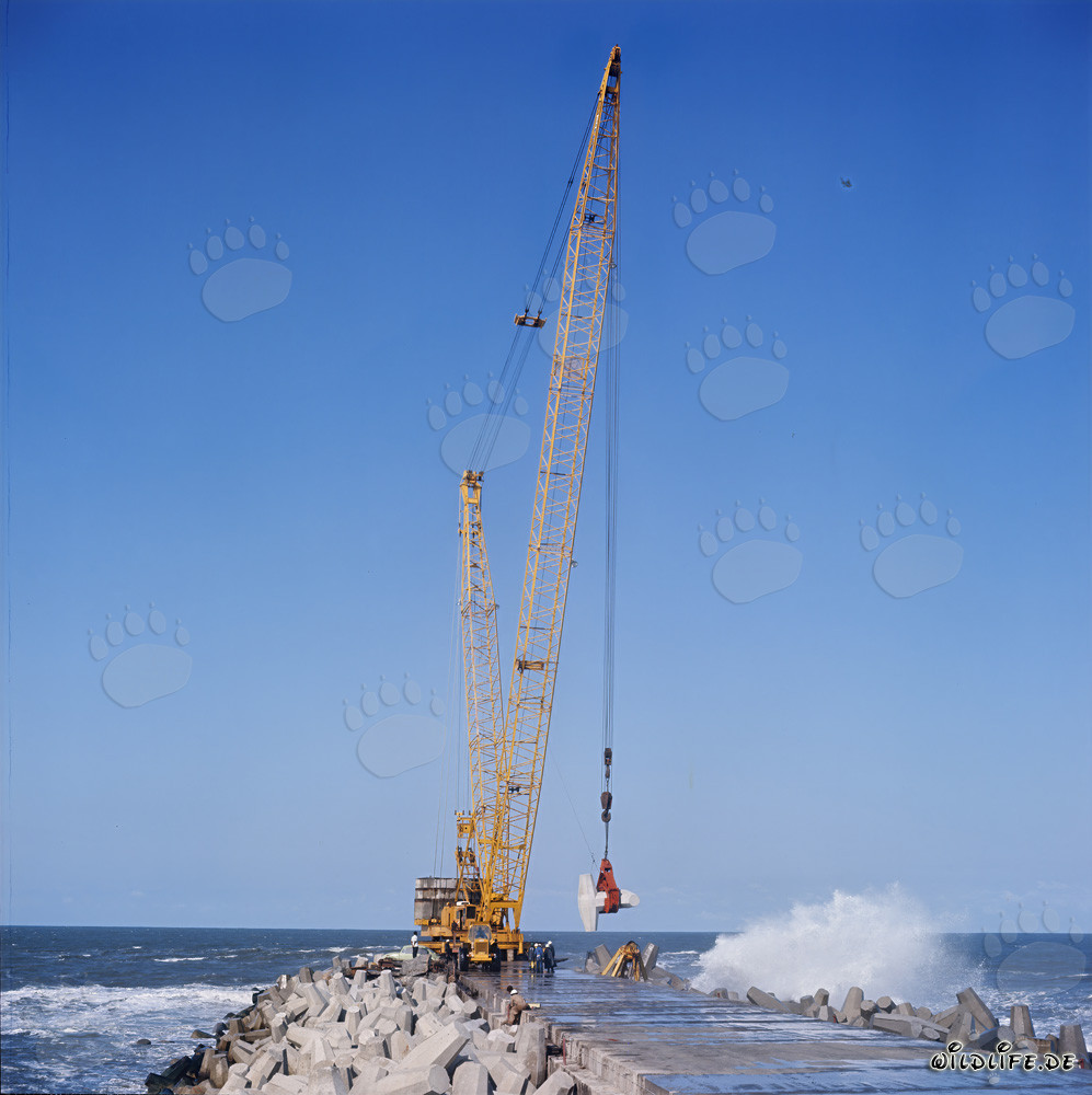 Pose de dolosses sur la brise-lames sud avec Manitowoc 4100 R
