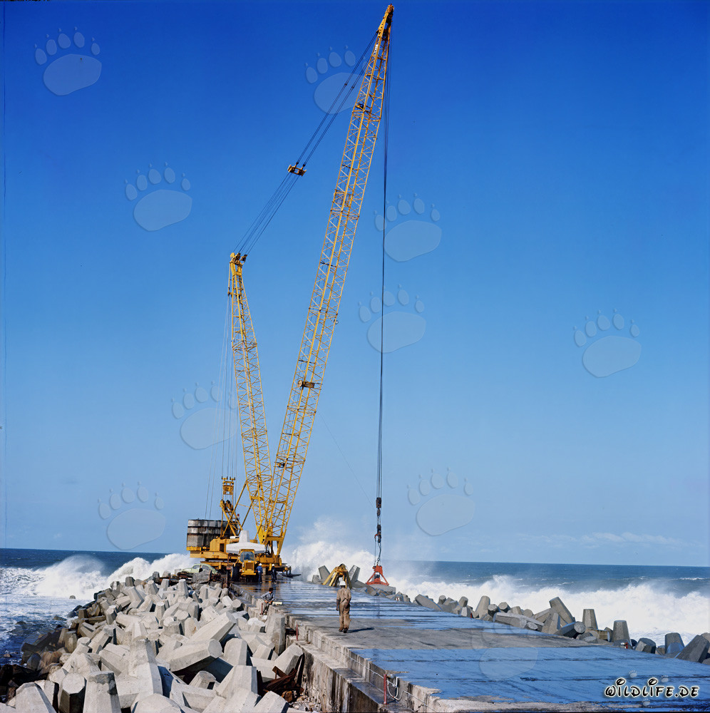 Placing dolosse on South Breakwater in Richards Bay, South Africa