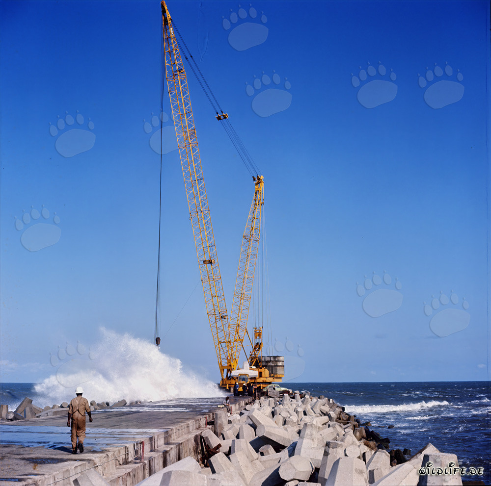 Placing dolosse on South Breakwater in Richards Bay, Natal, South Africa