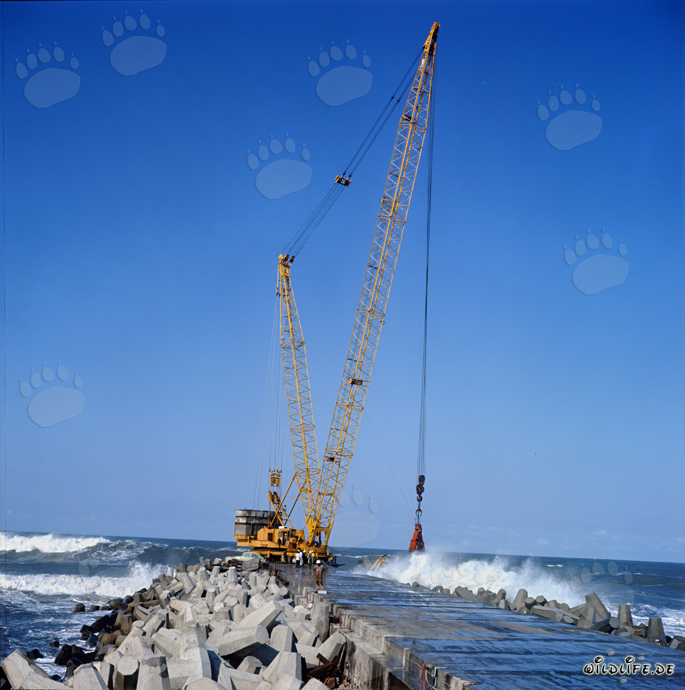 Colocación de dolos en el rompeolas sur de Richards Bay, Sudáfrica