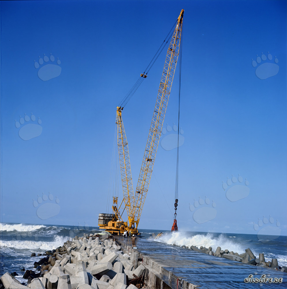 Placing dolosse on South Breakwater in Richards Bay, South Africa