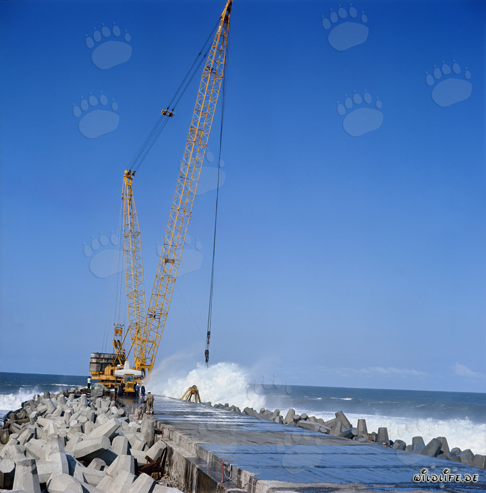 Placing dolosse on South Breakwater in Richards Bay, South Africa