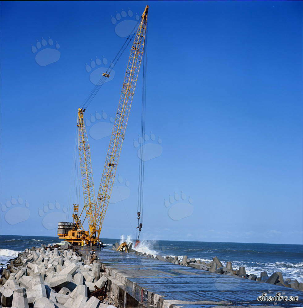 Installation de dolos au brise-lames sud avec Manitowoc 4100 R