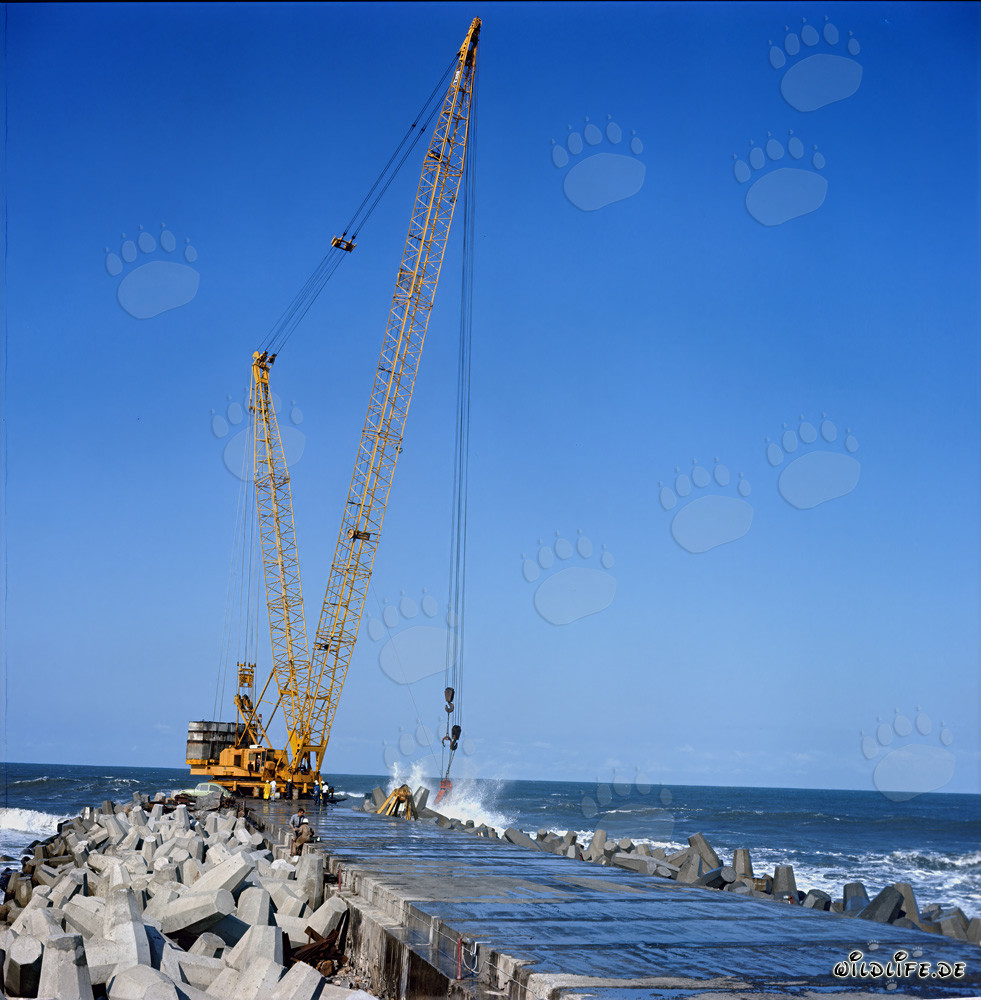 Posizionamento dei dolos sul frangiflutti meridionale con Manitowoc 4100 R