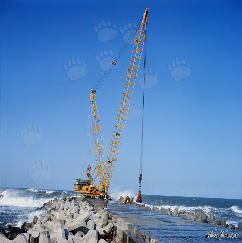 Posizionamento dei dolos al South Breakwater a Richards Bay