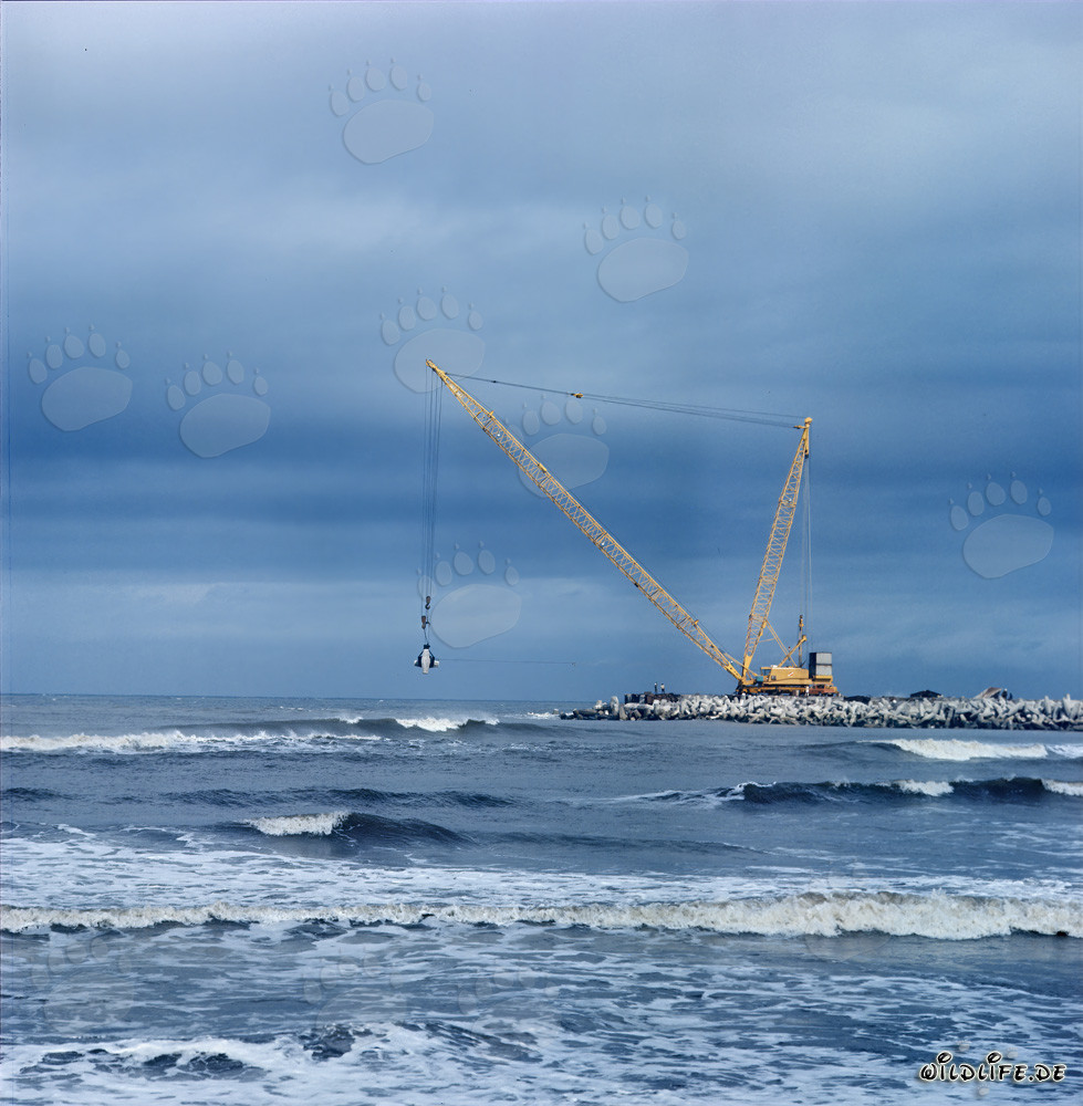 Colocación de dolos en el rompeolas sur de Richards Bay, Sudáfrica