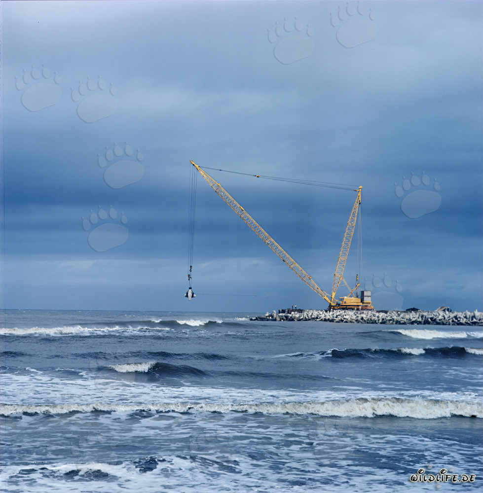 Placing Dolosse on South Breakwater in Richards Bay, South Africa