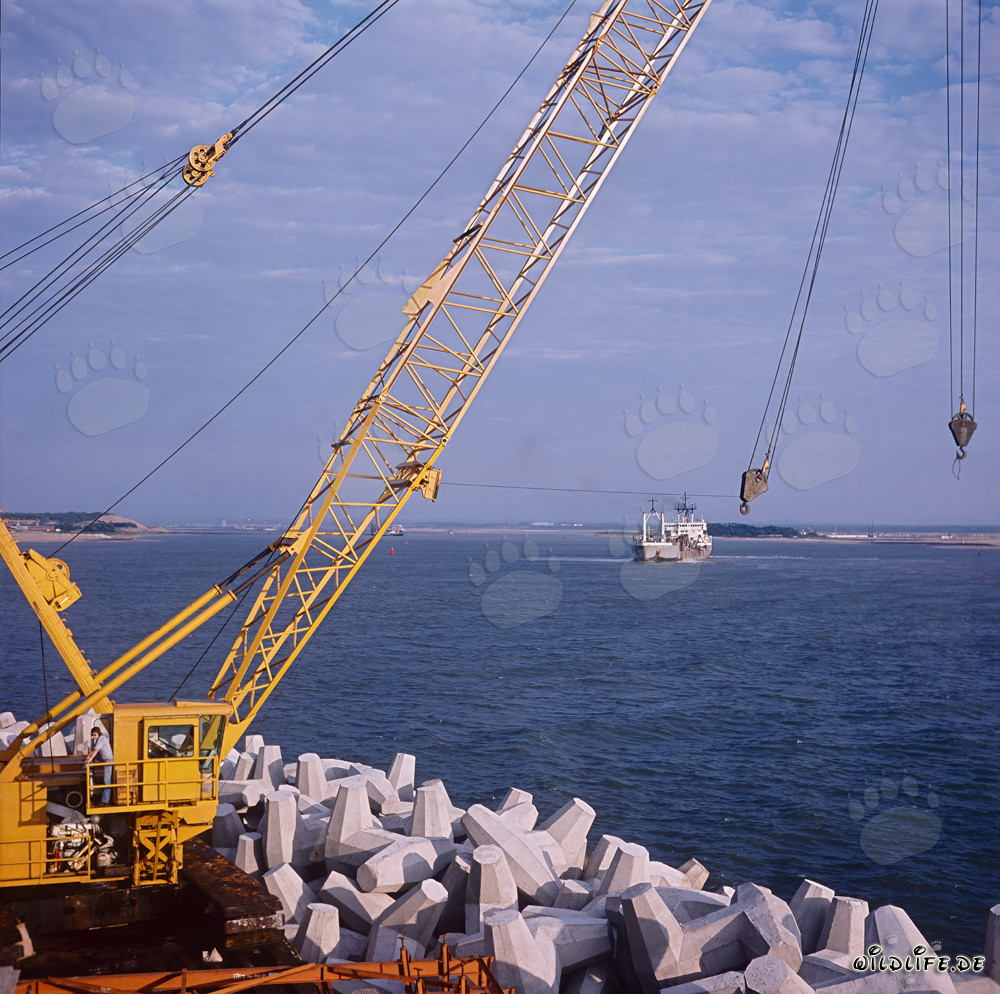 Manitowoc 4600 a North Breakwater a Richards Bay