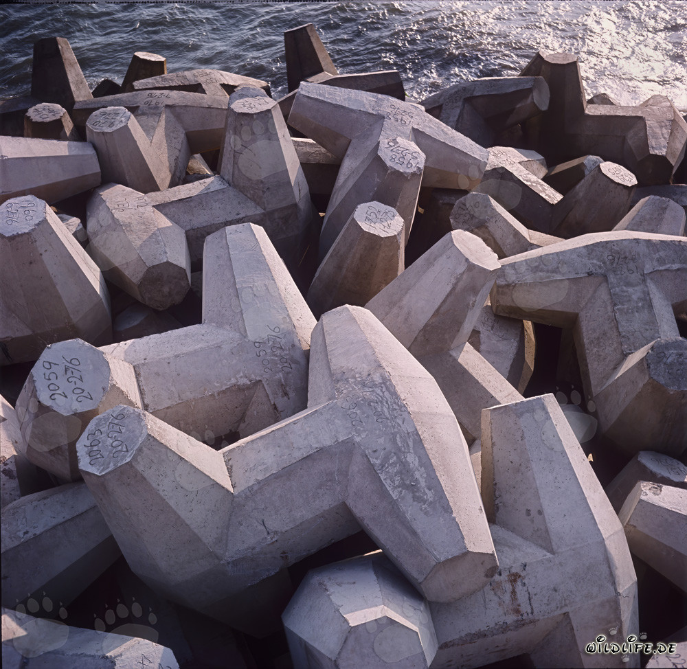 Dolosse on North Breakwater - Sea Breaker in Richards Bay, South Africa