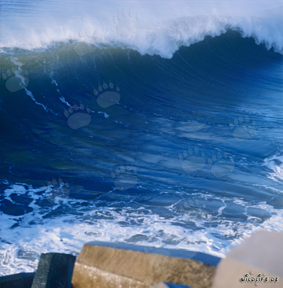 Mar peligroso en el rompeolas norte de Richards Bay