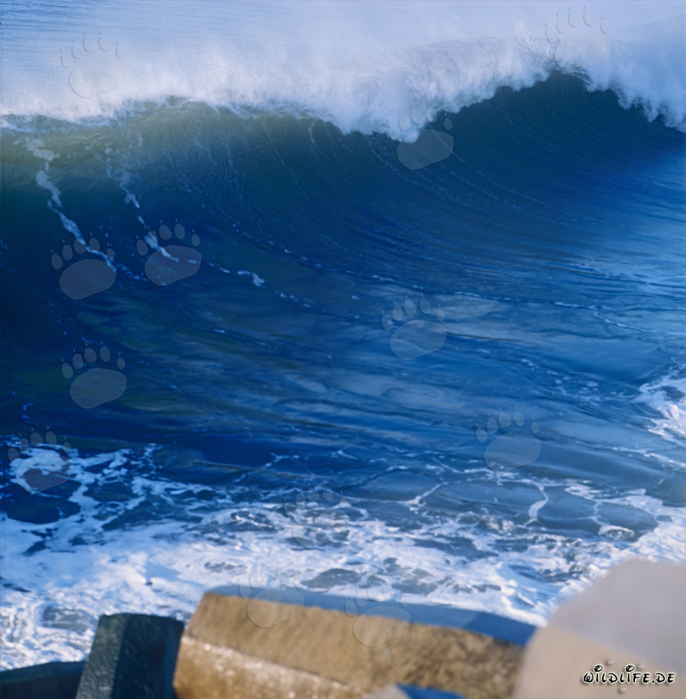 Mer dangereuse au brise-lames nord de Richards Bay