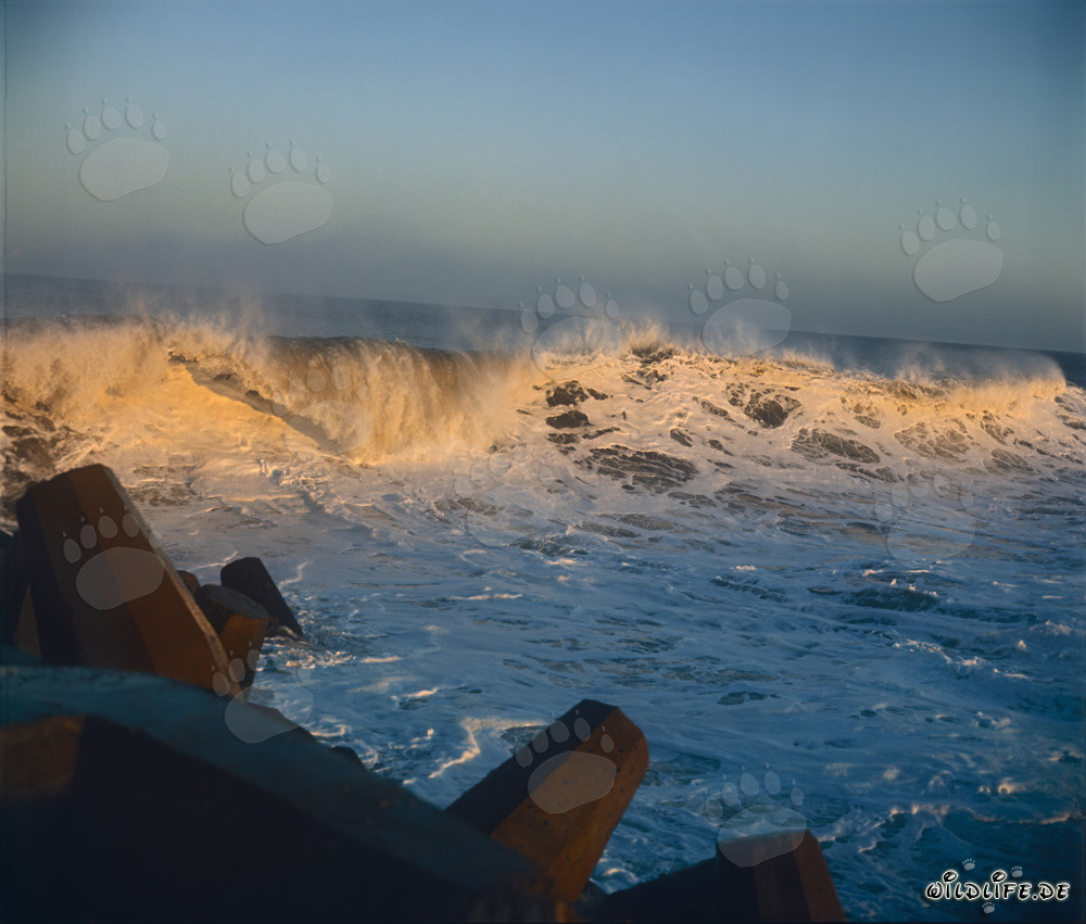 Dangerous surf at North Breakwater in Richards Bay