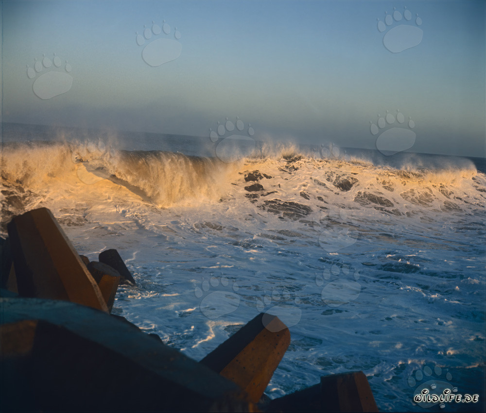 Gefährliche Brandung am North Breakwater in Richards Bay