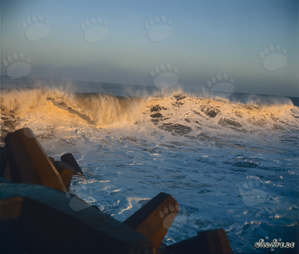 Onde pericolose al North Breakwater a Richards Bay