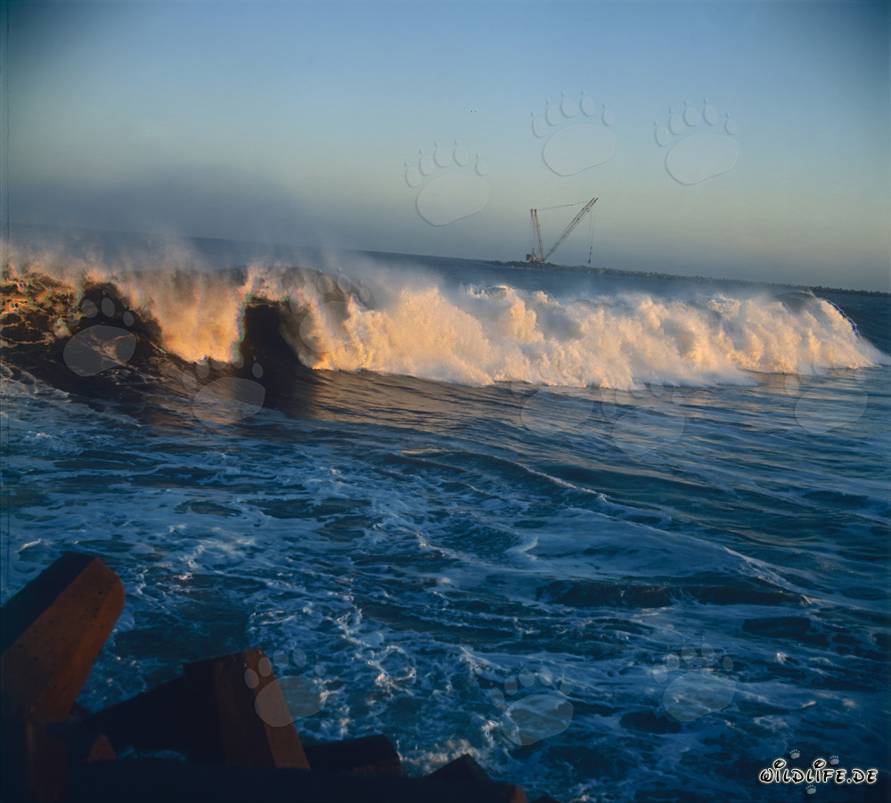 Eindrucksvolle Dünungswellen am North Breakwater von Richards Bay