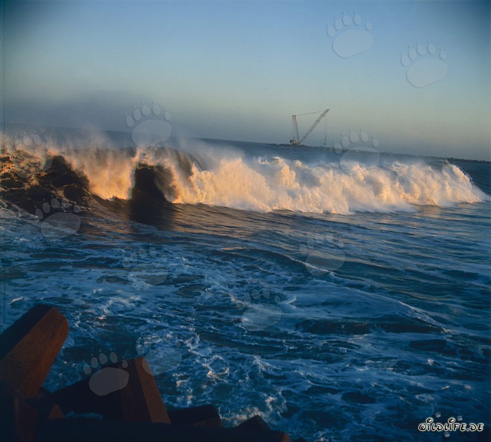 Impresionantes olas de marejada en el rompeolas norte de Richards Bay