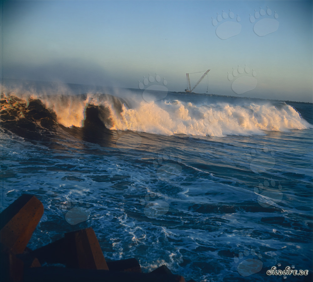 Impressive swell waves at North Breakwater of Richards Bay