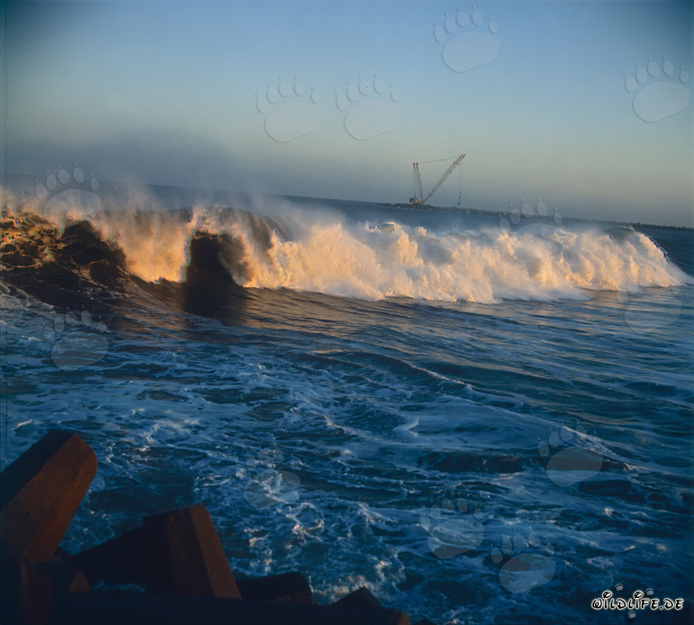 Impressionnantes vagues de houle à la digue nord de Richards Bay