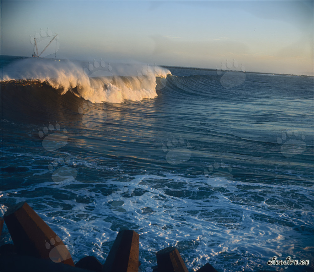 Dangerous waves at North Breakwater in Richards Bay
